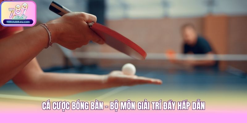 Cá cược bóng bàn - Bộ môn giải trí đầy hấp dẫn