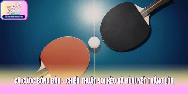 Cá Cược Bóng Bàn - Chiến Thuật Soi Kèo Và Bí Quyết Thắng Lớn