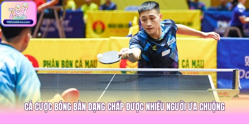 Cá cược bóng bàn dạng chấp được nhiều người ưa chuộng