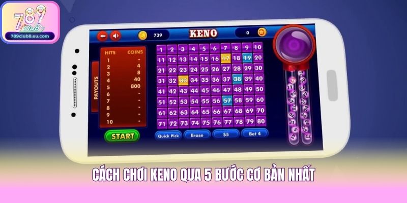 Cách chơi Keno qua 5 bước cơ bản nhất