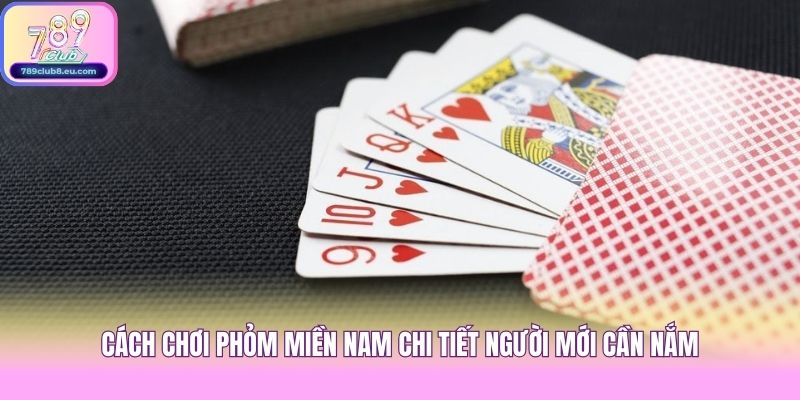 Cách Chơi Phỏm Miền Nam Chi Tiết Người Mới Cần Nắm
