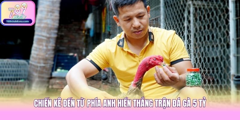 Chiến kê đến từ phía anh Hiển thắng trận đá gà 5 tỷ