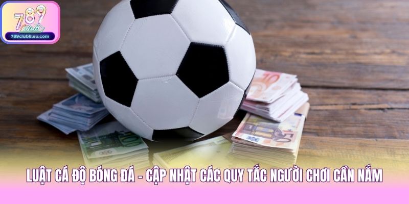Luật Cá Độ Bóng Đá - Cập Nhật Các Quy Tắc Người Chơi Cần Nắm