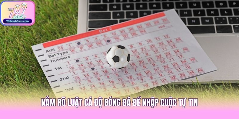 Nắm rõ luật cá độ bóng đá để nhập cuộc tự tin